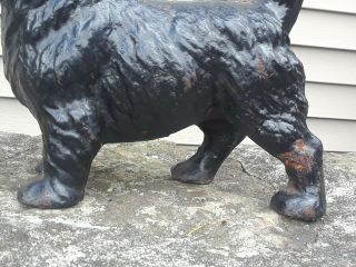 antique HUBLEY cast iron SCOTTISH TERRIER doorstop STATUE door stop 7