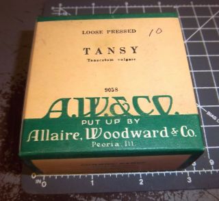 Vintage Allaire Woodward,  Loose Pressed Tansy 1900s Pharmacy