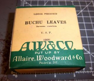 Vintage Allaire Woodward & Co,  Buchu Leaves,  1900s Pharmacy
