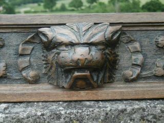 19thc Gothic Oak Panel With Lion Head Carved Centrally (2)