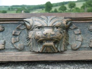 19thc Gothic Oak Panel With Lion Head Carved Centrally (1)