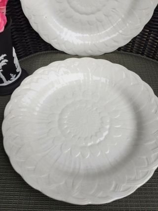 Pair Antique Wedgwood Creamware 19th Century Plates 7