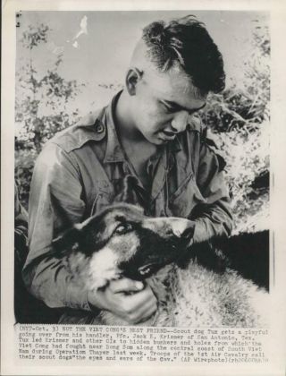 1966 U.  S.  1st Air Cavalry Scout Dog " Tux " With Handler In Vietnam Press Photo