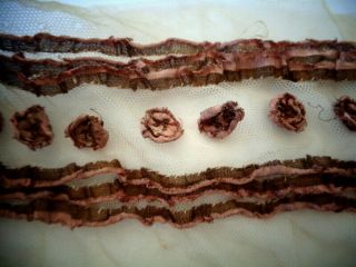 Charming Victorian French Silk And Metallic Ribbonwork On Tulle Fragment