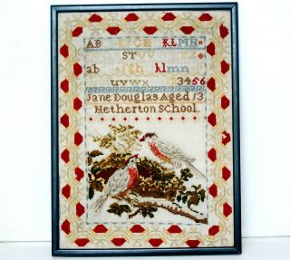 Antique Scottish Embroidery Sampler Jane Douglas Aged 13 (one Of Sisters Pair)