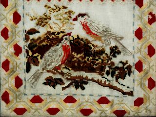 ANTIQUE SCOTTISH EMBROIDERY SAMPLER JANE DOUGLAS AGED 13 (ONE OF SISTERS PAIR) 4