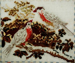 ANTIQUE SCOTTISH EMBROIDERY SAMPLER JANE DOUGLAS AGED 13 (ONE OF SISTERS PAIR) 5