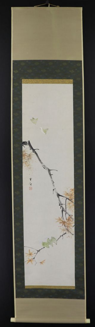 Japanese Hanging Scroll Art Painting " Birds And Red Leaves " E8122