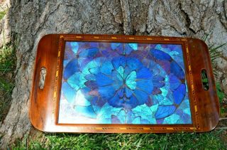 ART DECO Brilliant Blues And Greens BUTTERFLY WING TRAY Vintage Brazil 18 x 11 2