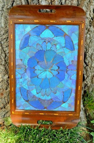 ART DECO Brilliant Blues And Greens BUTTERFLY WING TRAY Vintage Brazil 18 x 11 3