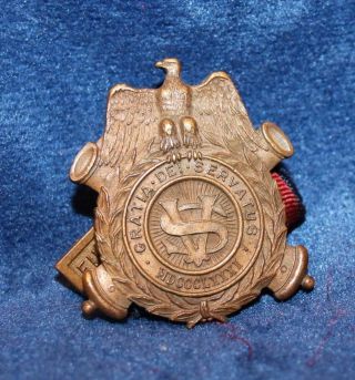 1881 Sons Of Civil War Veterans Medal Filii Veteranorum Gratia Dei Servatus