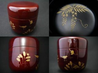 Japan Lacquer Wooden Tea Caddy Skylarks At Reed / Wisteria Makie Chu - Natsume 515