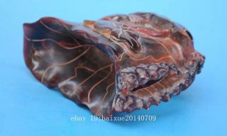 Old Chinese hand - carved fish lotus leaf horn carving cup d02 6