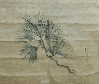 I472: Japanese Old Hanging Scroll.  Pine Needle By Famous Hoitsu Sakai.
