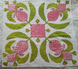 Terrific Antique Applique Red And Green Cutter Quilt Pc - 33 In X 33 In (7001)