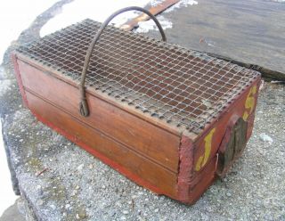 Antique Primitive Cage Wood & Wire Screen With Handle