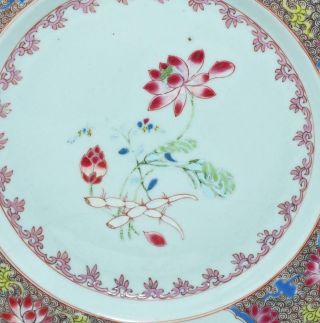 GOOD UNUSUAL CHINESE 18th C FAMILLE ROSE PLATE - Lotus Flower 23cm 2