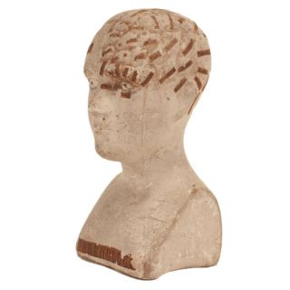 Antique Phrenology Bust C.  1850s - Chalkware & Applied Paper - Medical Oddity
