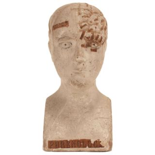 Antique Phrenology Bust c.  1850s - Chalkware & Applied Paper - Medical Oddity 3