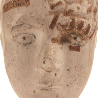 Antique Phrenology Bust c.  1850s - Chalkware & Applied Paper - Medical Oddity 4