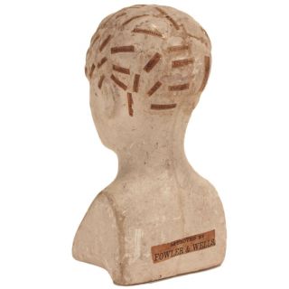 Antique Phrenology Bust c.  1850s - Chalkware & Applied Paper - Medical Oddity 5