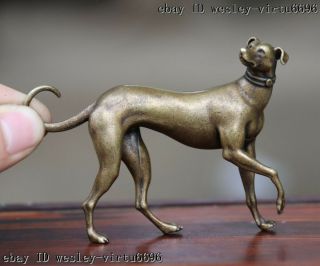 China Pure Copper Bronze Whippet Greyhound Dog Lucky Hunting Dog Figurine T058