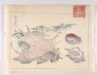 Kawanabe Kyosai,  Authentic,  Antique Woodblock Print—Kyosai Rakuga RARE 6