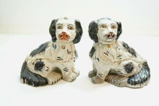 Antique Staffordshire 5 1/2 " Black And White Spaniel Dogs Right Left