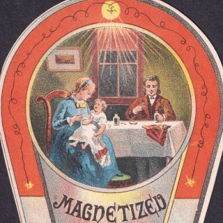 Magnetized Food Quack Cure 1882 Magnet Shape Die - Cut Electric Bottle Trade Card