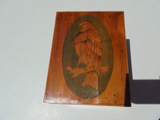 Unusual Old Antique Inlaid Wood Bird On Branch Eagle Hawk Tea Caddy