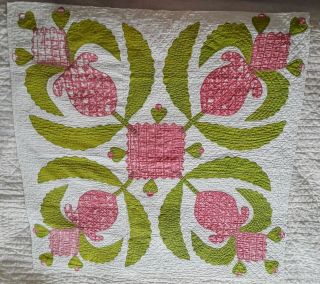 Terrific Antique Applique Red And Green Cutter Quilt Pc - 33 In X 33 In (7002)