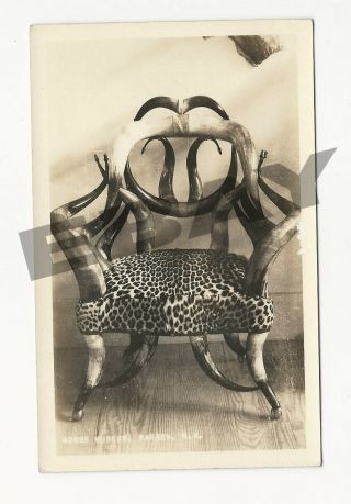 Morse Museum Warren N.  H.  Buffalo Horn Cheetah Chair Real Photo Postcard Rppc