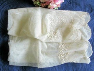 LONG ANTIQUE LENGTH OF EMBROIDERED COTTON NET LACE 100 
