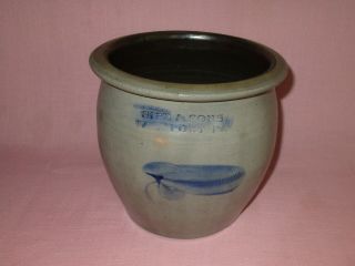 Antique 19th C Stoneware Decorated Sipe & Sons Williamsport PA Cream Jar Crock 5
