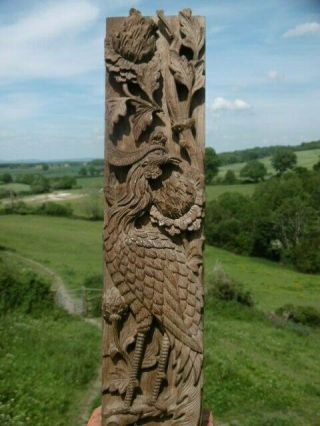 Pr 19thc Oak Panels With Relief Carved Exotic Birds & Flora