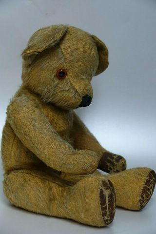Charming Old Straw Filled Jointed Teddy Bear - Info Welcome On Maker - Rare L@@k