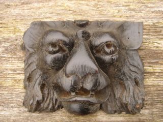 PAIR 1920s SALVAGED CARVED OAK LION HEAD APPLIQUES CARVINGS, 2