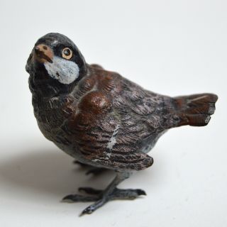 Vienna Bronze Franz Bergman Chickadee Bird Cold Painted