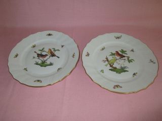 Herend Hungary Porcelain Rothschild Bird 2 Dinner Plates 10.  25 " 1524/ro