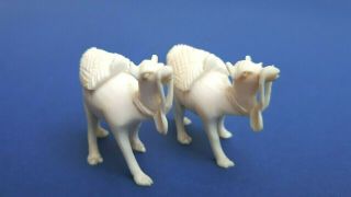 PAIR ART DECO CHINESE INTRICATELY CARVED CELLULOID BONE CAMEL MINIATURE FIGURES 4