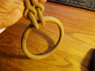 Oxen Yoke Ring,  Antique Yoke 6 1/2 
