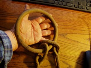 Oxen Yoke Ring,  Antique Yoke 6 1/2 