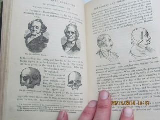 Antique Phrenology Bust Head 1870 Chalk with Instruction Book from Insane Hosp 11