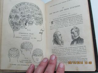 Antique Phrenology Bust Head 1870 Chalk with Instruction Book from Insane Hosp 12