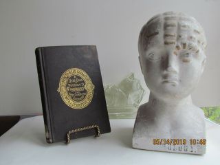 Antique Phrenology Bust Head 1870 Chalk With Instruction Book From Insane Hosp