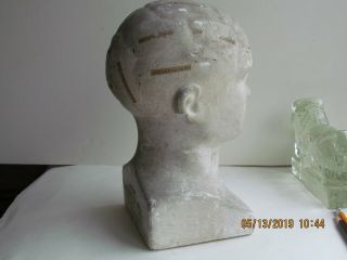 Antique Phrenology Bust Head 1870 Chalk with Instruction Book from Insane Hosp 5