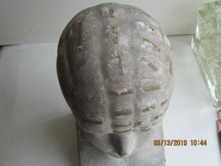 Antique Phrenology Bust Head 1870 Chalk with Instruction Book from Insane Hosp 8