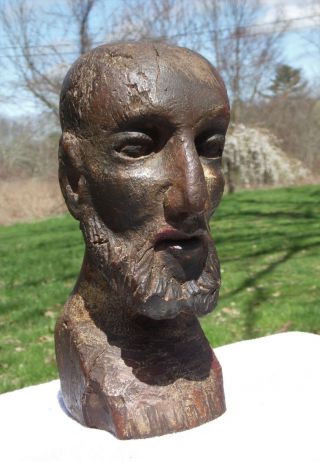 Vintage Petrified Wood Carved Man Bald Head Bust Primitive Folk Art Sculpture 3