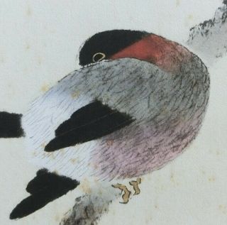 I635: Japanese Slim Hanging Scroll.  Bird On Branch With Good Painting.