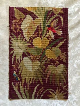 19th CENTURY VICTORIAN BERLIN WOOLWORK PETITPOINT BIRD BUTTERFLY 165 2